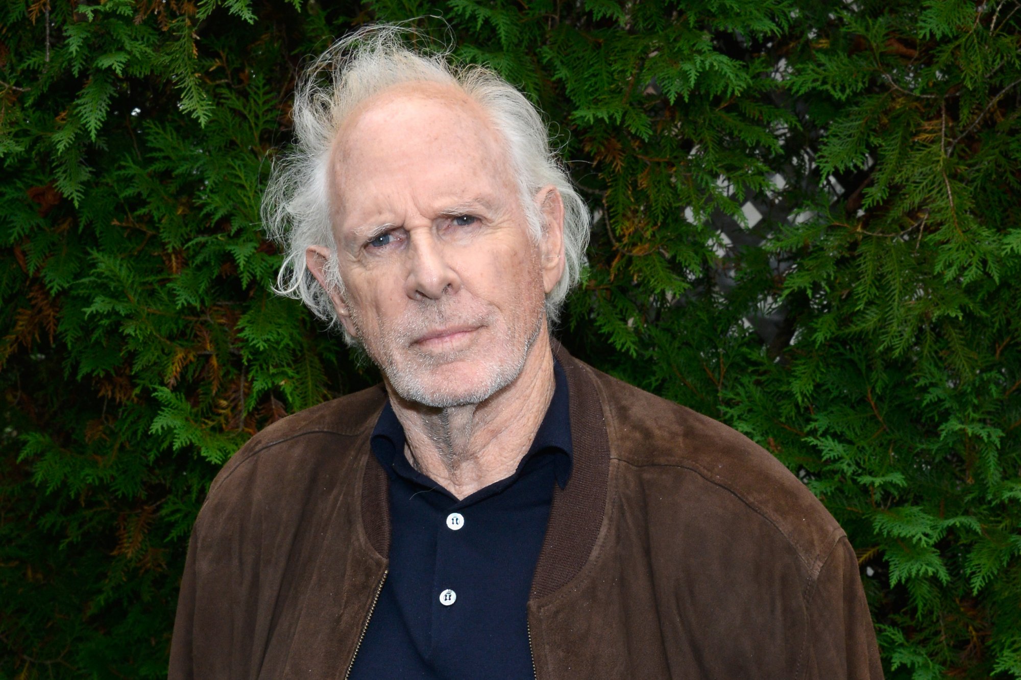 Bruce dern wikipedia