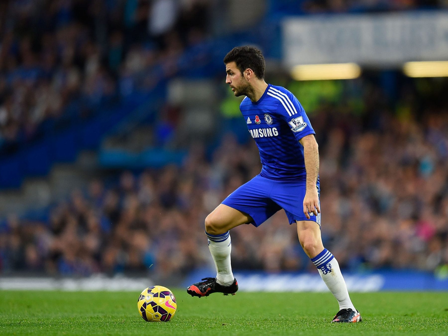 Image result for fabregas hd