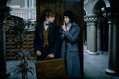 Fantastic Beasts: The Crimes of Grindelwald Full hd wallpapers