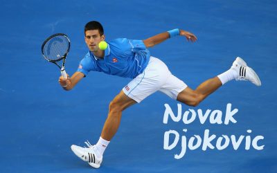 Novak Djokovic Background