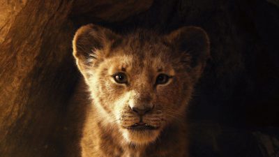 The Lion King Desktop wallpapers