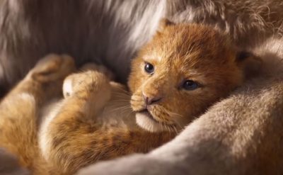The Lion King Screensavers