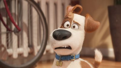 The Secret Life of Pets 2 Wallpapers hd